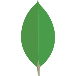 MongoDB